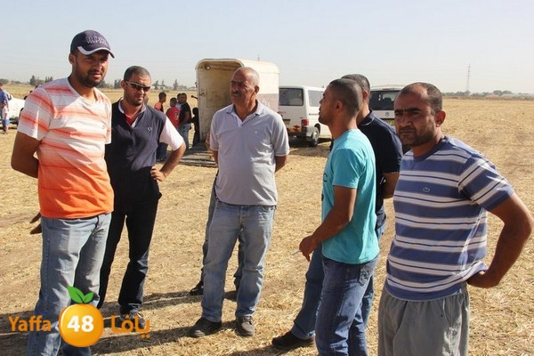 horse race 0602 (70).JPG